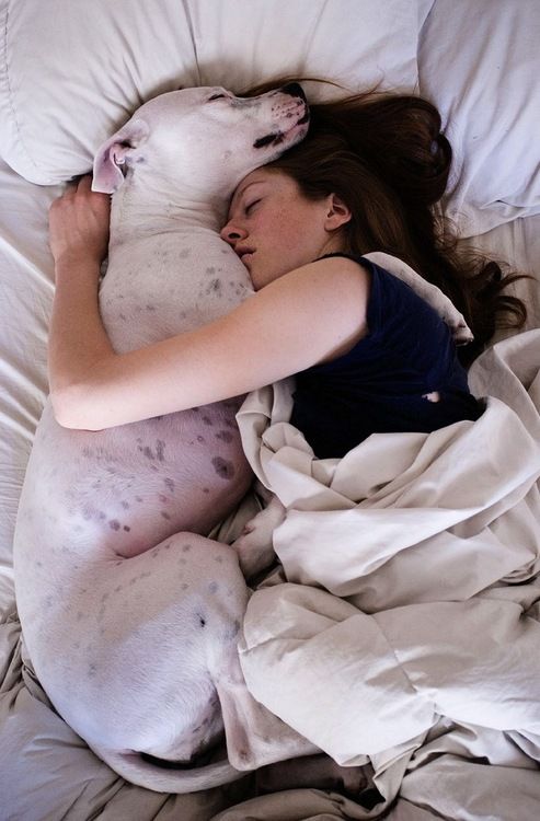 spanie z psem lub kotem